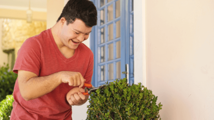 Person trimming small bush by front door of house
