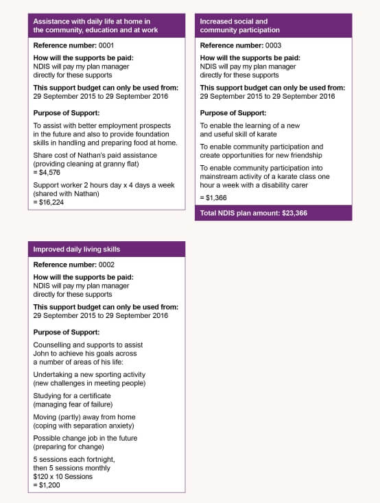 Example of an NDIS plan - complex document - please contact Endeavour Foundation for a detailed description.