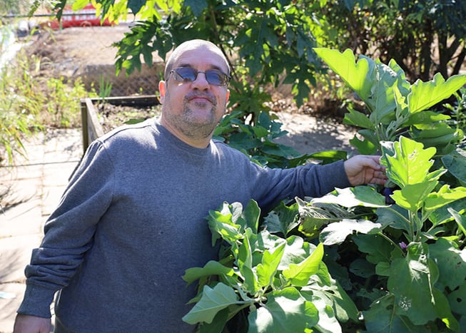 community-hervey-bay-m