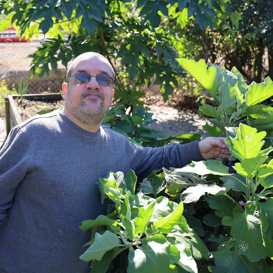 community-hervey-bay-sq