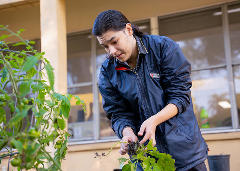 kew-learning-and-lifestyle-hub-m