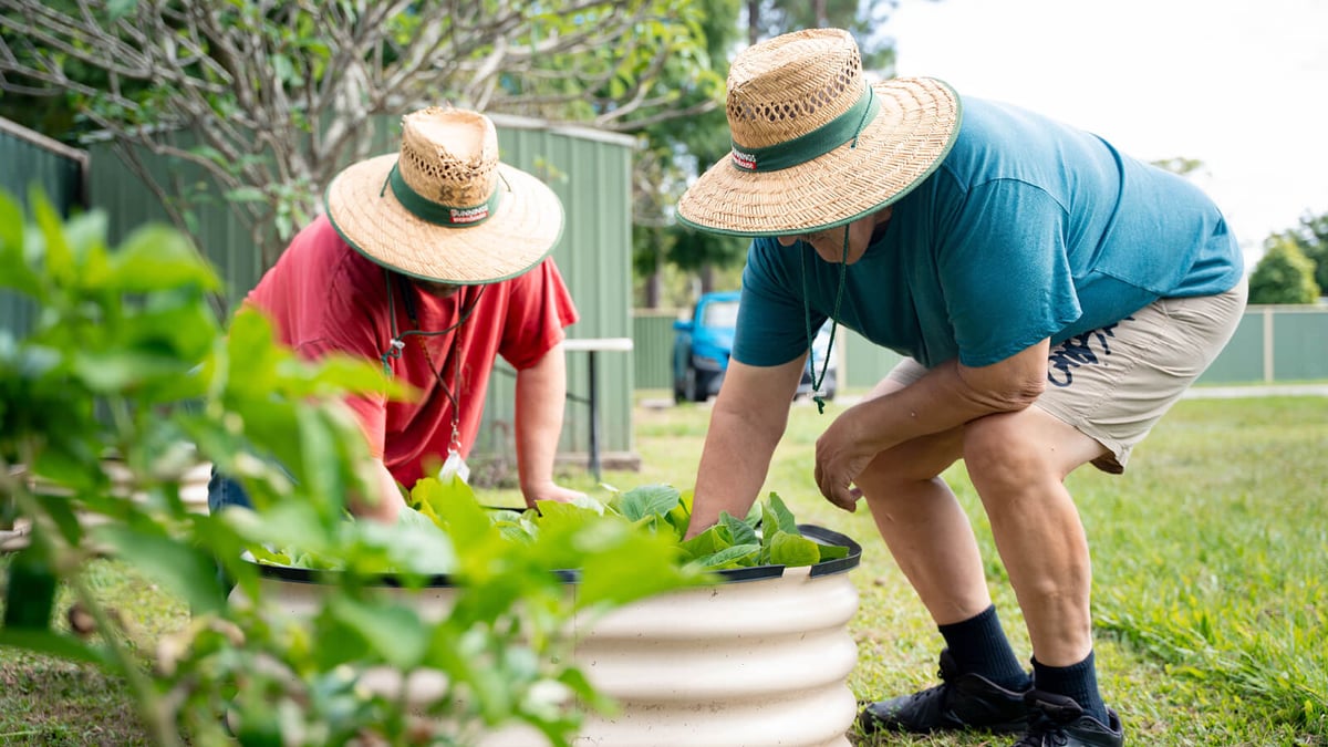 maryborough-learning-and-lifestyle-hub-06-l