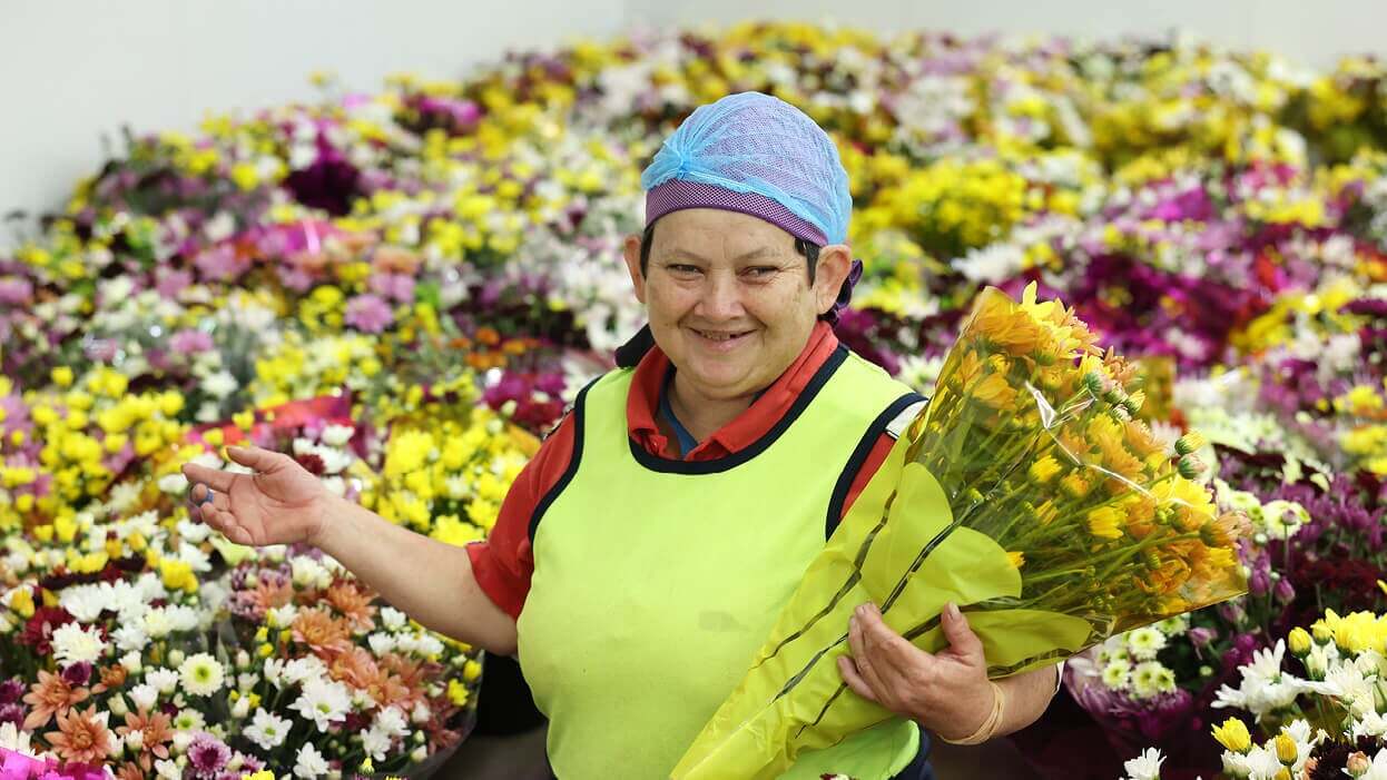 disability services provider in Wide Bay