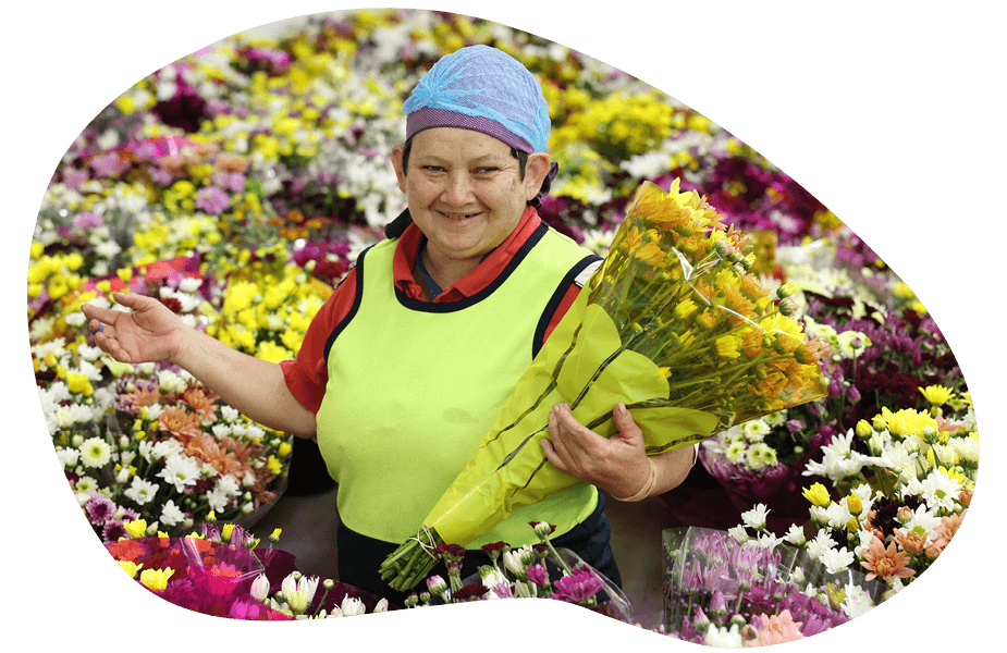 our-locations-wide-bay-burnett-header-925x600