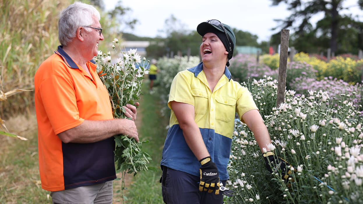 Disability services provider in wide bay
