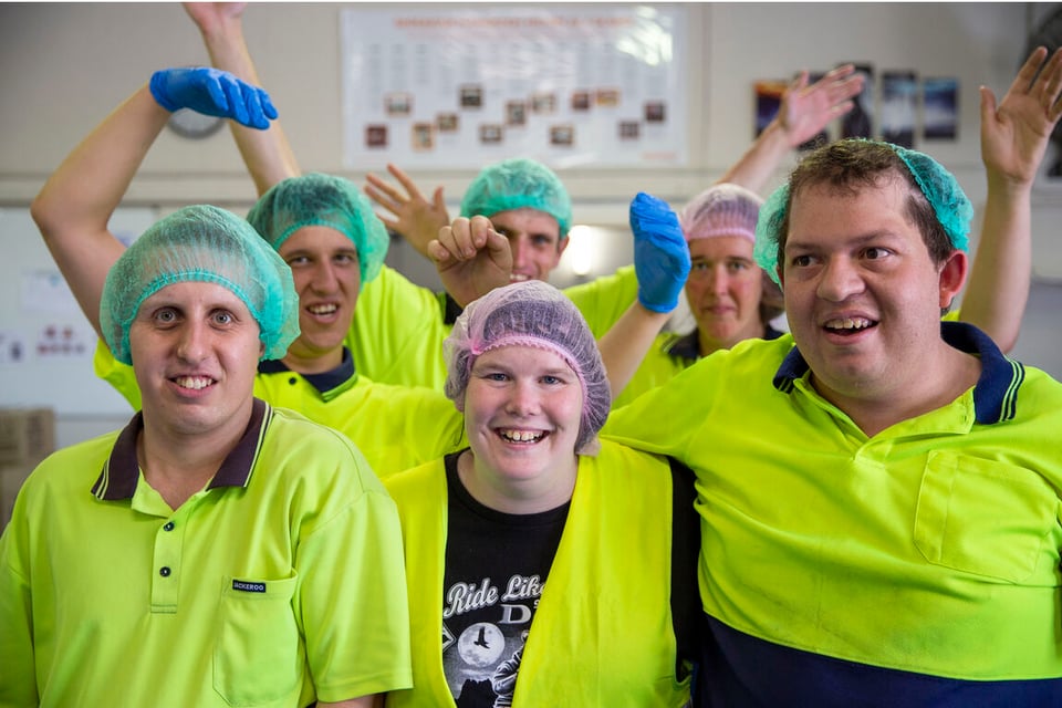 disability supported employment