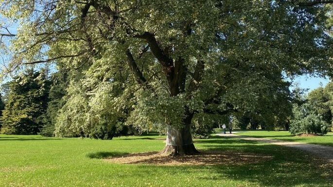 Werribee Park Lake Walk