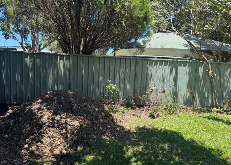Image 3. Bush turkey nest