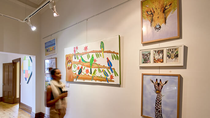 Blog-Top 7 accessible winter activities-685x385_03