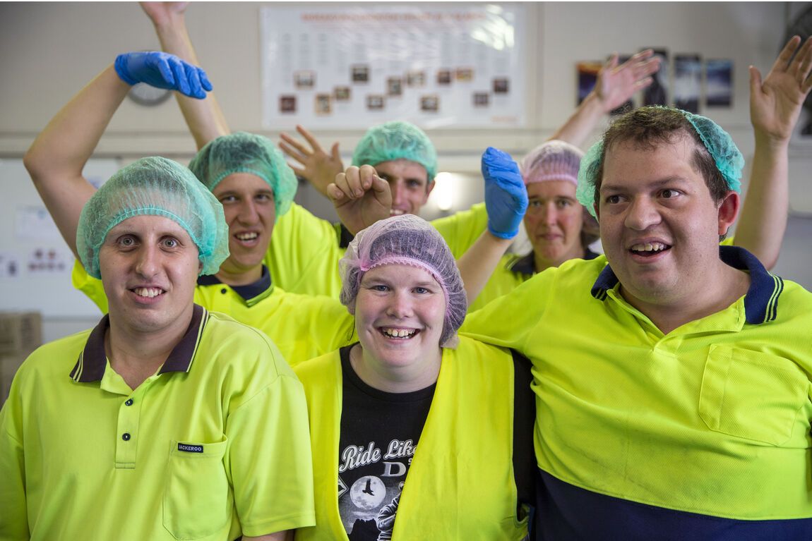 disability supported employment