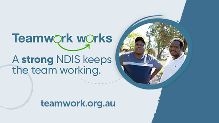 ndis-is-good-for-the-economy